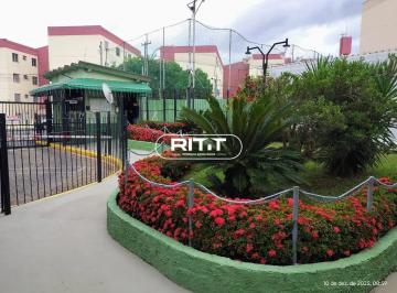 311777556711544.jpg · Apartamento à venda, Conjunto Residencial Souza Queiroz, Campinas, SP