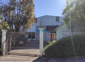 25227739_4.jpg · PAVILHÃO NO CINQUENTENÁRIO COM 350m²
