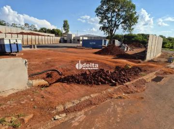 Terreno · 7500m² · Terreno disponível para locação e venda no bairro Empresarial Taiaman em Uberlândia-MG