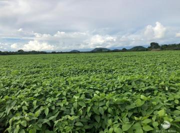 Imagem 1 · Fazenda