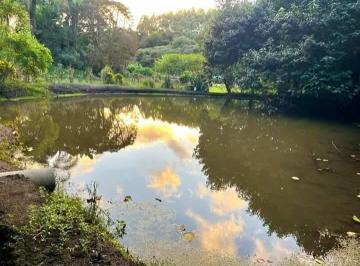 Rural · 250m² · 3 Quartos · 10 Vagas · Chácara abaixo da avaliação 10.200 m² completa 590 mil!