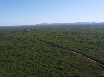 Imagem 1 · Fazenda