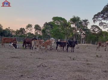 Imagem 1 · Fazenda