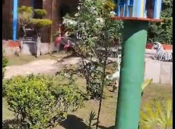 Imagem 1 · Sítio