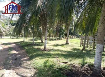 Imagem 1 · Fazenda