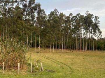 Terreno , Mairinque · Excelente Terreno de 1000m² para Construção em Mairinque