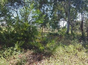 Terreno · 263m² · Terreno à venda, 263 m² por R$ 50.000 - Caçamba - Balneário Arroio do Silva/SC
