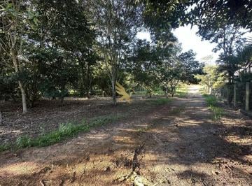 Rural · 5000m² · Terreno de chácara no sítio primavera em Jarinu