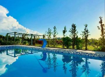 Rural · 1ha · 2 Quartos · 3 Vagas · 2 dormitórios, 1 banheiro, piscina, chácara