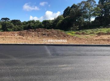 8dd2508f0c14c274f1de0e4d6217f9ae1778686537543.jpg · Terreno à venda, São Cristóvão, Caxias do Sul, RS