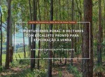 Terreno · 40000m² · Oportunidade Rural: 6 Hectares com Eucalipto Pronto para Exploração em Passa Tempo