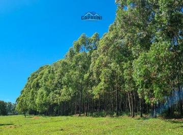 Terreno · 60000m² · Oportunidade Rural: 6 Hectares com Eucalipto Pronto para Exploração em Passa Tempo