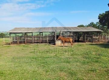Rural · FAZENDA À VENDA – REGIÃO DE São José do Rio Preto