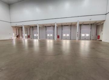 202603051756285119.jpeg · Galpão logístico no DAIA com 5 docas e 4.800 m²