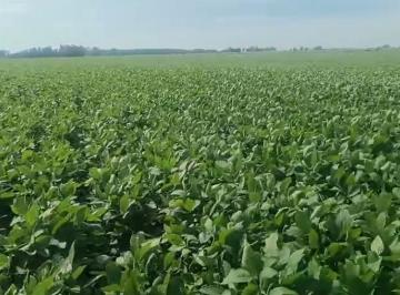 Rural , Capivari do Sul · Fazenda com 47 Hectares + Estrutura Completa de Silos e Secador à Venda em Capivari do Sul/RS.