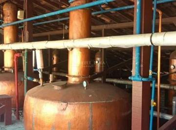 Imagem 1 · Fazenda