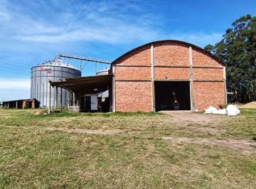 Rural , Capivari do Sul · ÁREA COM 4,4 HECTARES + ESTRUTURA COMPLETA DE SILOS E SECADOR