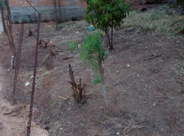Imagem 1 · Terreno