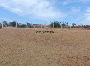 Imagem 1 · Chácara para venda em São Luiz, Londrina