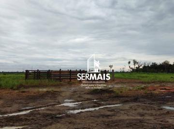 Imagem 1 · Fazenda