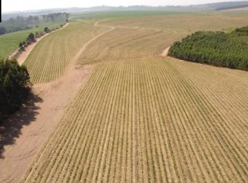 Foto 01 · EXCELENTE FAZENDA EM BROTAS INTERIOR DE SÃO PAULO