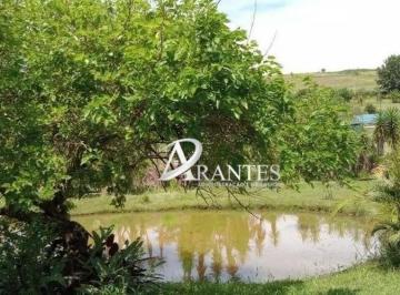 d2db583114de53ebe016b15ba84b48772230b83b · Chácara com 5 dormitórios à venda, 9000 m² por R$ 649.000,00 - Estiva do Agudos - Bragança Paulista/