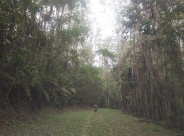 Terreno , Juquitiba · Área com 40 Alqueires em Juquitiba SP COD: 6083 F:(11) 97302-9229 CESAR