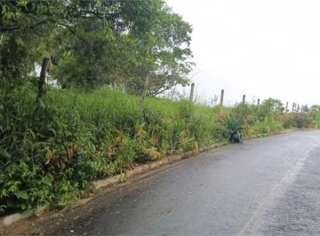 2fbd4e5443c91579bc281eee74a4669d40d731b8 · Terreno Residencial à venda, Perequê, Ilhabela - TE0008.