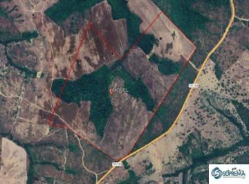 Foto 01 · VENDO FAZENDA EM GOIANORTE EM TOCANTINS COM 116,19 HECTARES