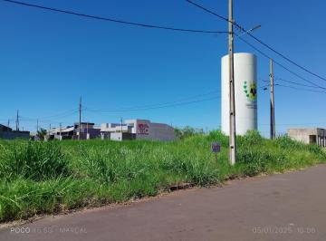 Terreno · VENDA | Terreno,  em Jardim Bethania, Iguaraçu