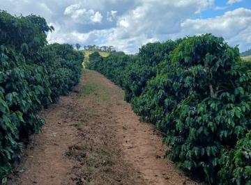 i6g257hMv28K85e_22856a035892d79d2_jExMTg4MTMyNmNl_o.jpg · Fazenda / Sítios / Chácaras à venda em Nepomuceno, no bairro Zona Rural