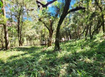terreno-para-venda-no-descansopolis-em-campos-do-jordao-sp · Terreno / Venda