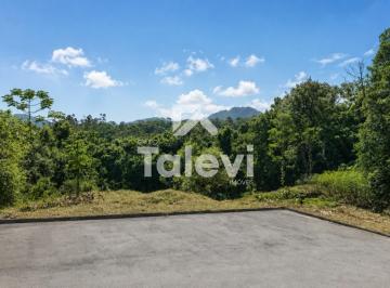 Terreno · 5246m² · TERRENO EM TESTO REGA COM VIABILIDADE PARA CONDOMINIO FECHADO