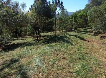 Foto 01 · FAZENDA ELISA