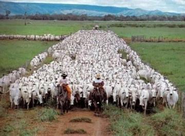 Imagem 1 · Fazenda