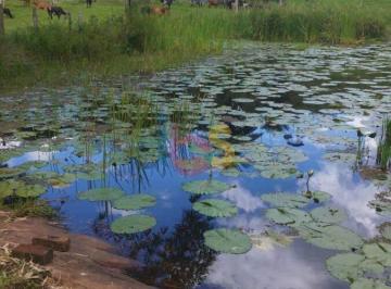 Imagem 1 · Fazenda para venda em Centro, Gongogi