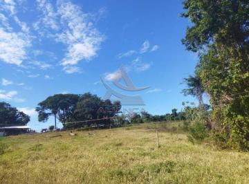 Imagem 1 · Fazenda