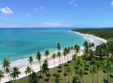 Apartamento de 1 quarto, São Miguel dos Milagres · Sopro | Praia do Toque – AL: Design, Natureza e Rentabilidade no Litoral Alagoano