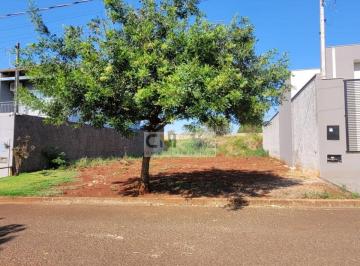 TERRENO PRÓXIMO AO SUPER MUFFATO _ IBIPORÃ · TERRENO PRÓXIMO AO SUPER MUFFATO _ IBIPORÃ