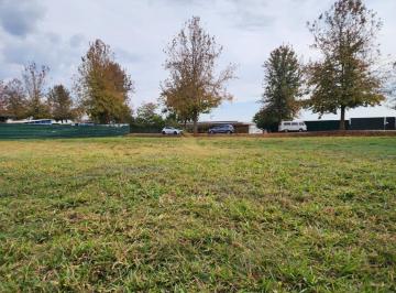 Terreno · 3374m² · Lote 3.374 m² com fundo para mata, único da quadra na Quinta da Baroneza