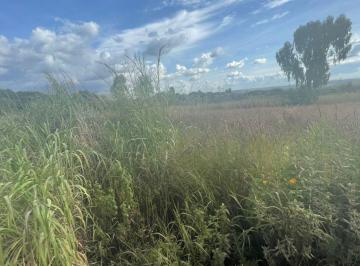 Rural en Venda   · Chacara a venda, otima localização, escriturada