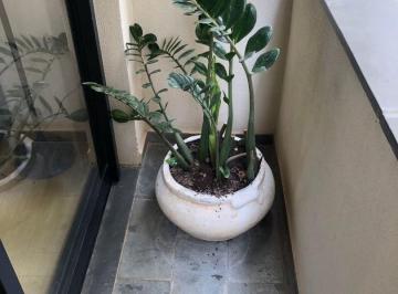 d1c4b767209d49958e7fe837d55ff238f8e1007b · Apartamento para Locação na Saúde, 40m², 1 Dormitório, 1 Vaga - São Paulo