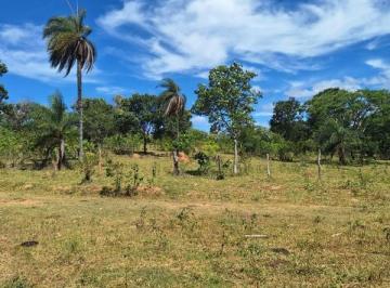 Imagem 1 · Fazenda