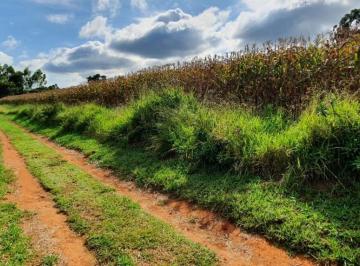 Imagem 1 · Terreno para venda em Centro, Estiva
