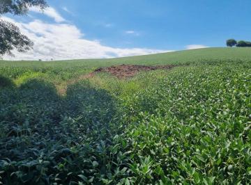 Imagem 1 · Fazenda para venda em Centro, São Sebastião da Bela Vista