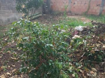 Imagem 1 · Terreno