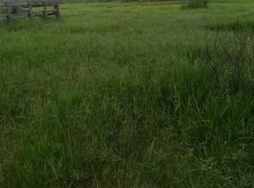 Imagem 1 · Fazenda para venda em Andrequicé, Três Marias