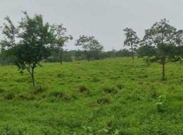Imagem 1 · Fazenda