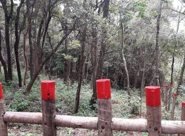 Imagem 1 · Terreno