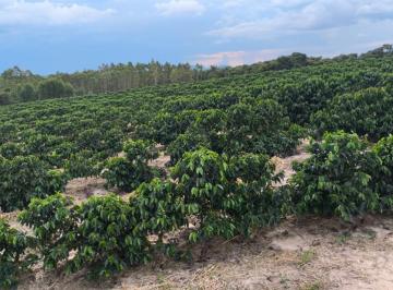 Imagem 1 · Fazenda
